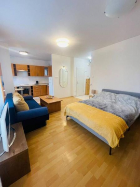 CENTRAL STUDIO CLOSE TO ANDRASSY AVENUE for 4 persons